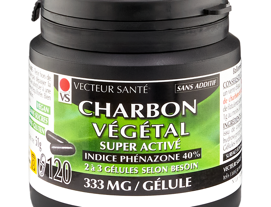 CHARBON VÉGÉTAL 100%