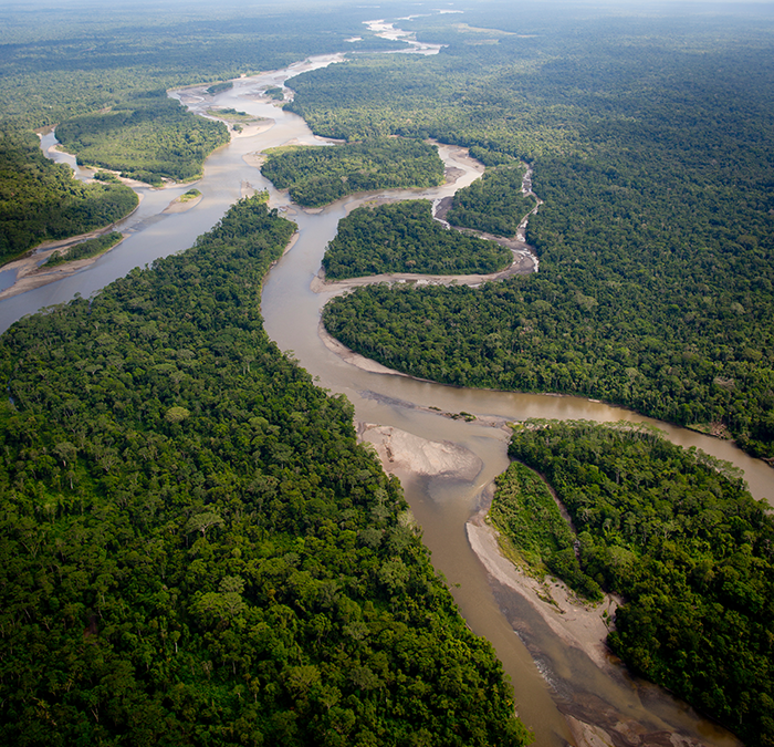 Vecteur santé s’engage dans la protection de la forêt amazonienne