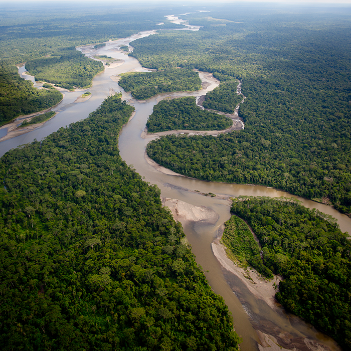 Vecteur santé s'engage dans la protection de la forêt amazonienne. Image du fleuve amazone dans la forêt amazonienne