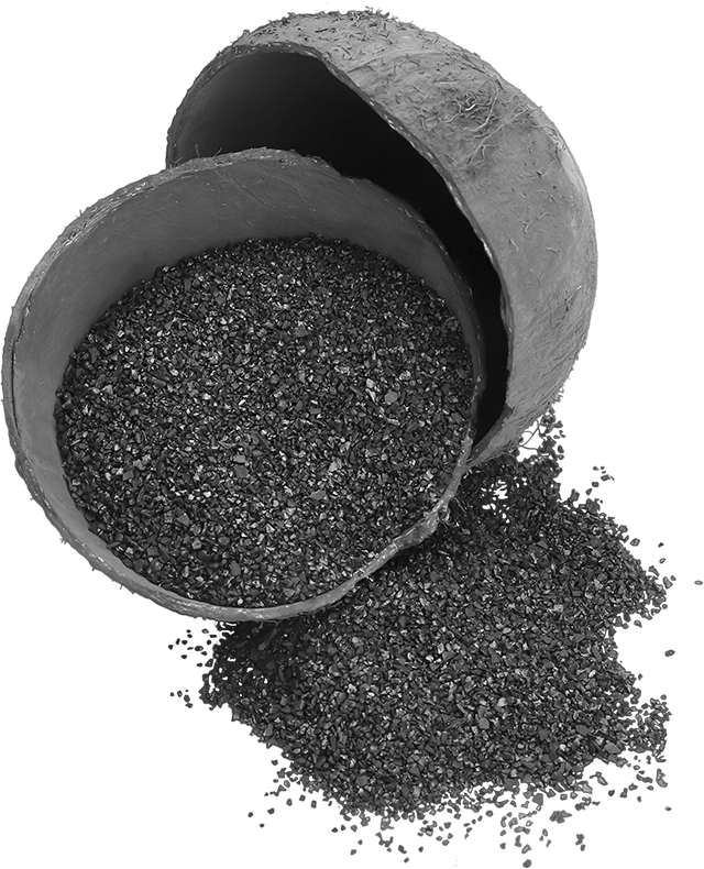 coconut-charcoal