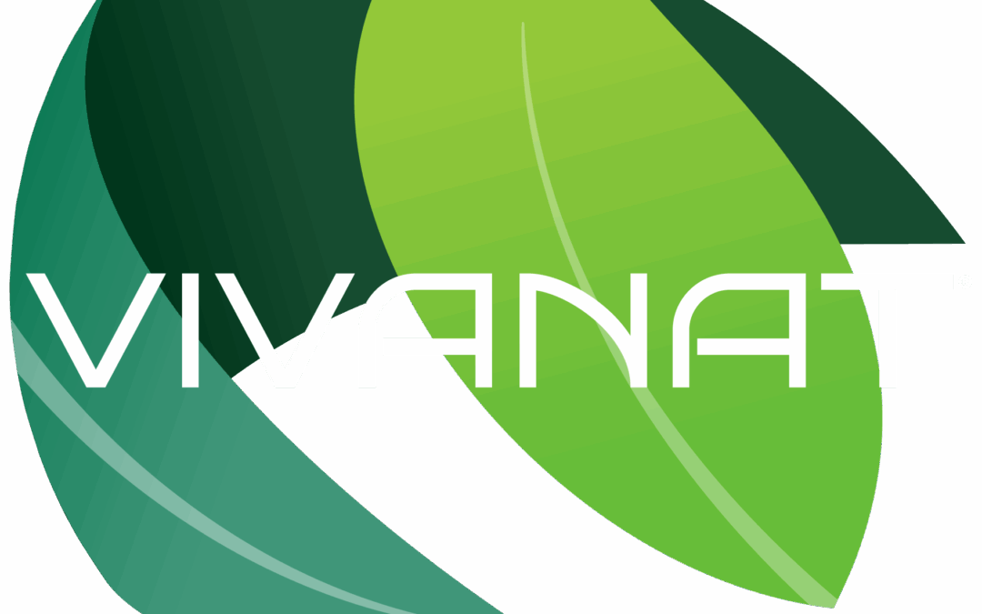 POURQUOI NOUS AVONS DÉCIDÉ DE NOMMER UN REVENDEUR AGRÉÉ ?